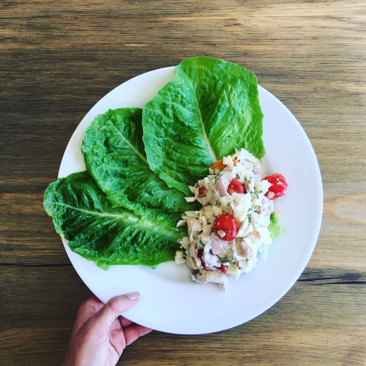 Meal Plans with Prep Guides | Meal Prep Guides | Local Rhoots